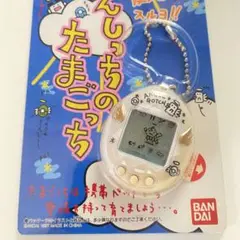 未開封品 てんしっちのたまごっち パールホワイト