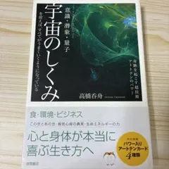 宇宙のしくみを使えば、すべてがうまくいくようになっている 意識・潜象・量子 奇…