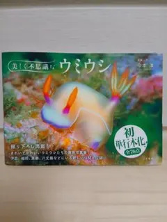 【美品】美しく不思議なウミウシ