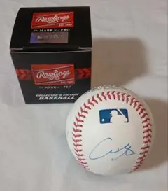 大谷翔平 山本由伸 佐々木朗希 直筆サインボール /MLBドジャース /公式球のサムネイル