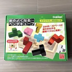 学研 頭のよくなるペンタキューブ