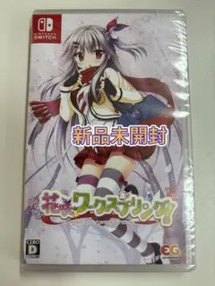 【新品未開封】 switch 花咲ワークスプリング