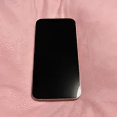 Apple iPhone 13 Pro 256GB 本体