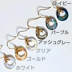偏光リングストーン アレルギー対応 ピアス イヤリングに変更可