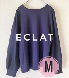 Item thumbnail for item 5f9acb5d-5dde-44d9-a5ce-a863b7c7d5e2