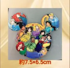 ディズニープリンセス アイロンワッペン 約7.5×6.5cm