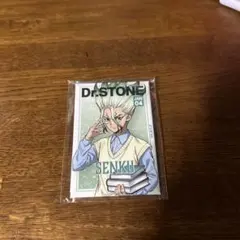 Dr.stone千空　缶バッジ長方形　くじ引き堂