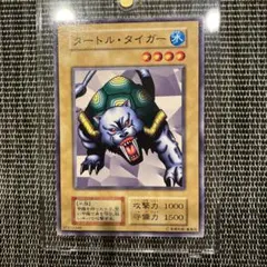 遊戯王　タートルタイガー　初期　ノーマル　ARS9 タートル・タイガー【遊戯王トレカ高価買取価格査定：CBトレコロ】