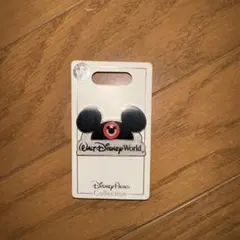 disney world ピンバッジ