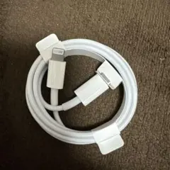 iPhone 充電器 純正 タイプCライトニングケーブル Apple正規品