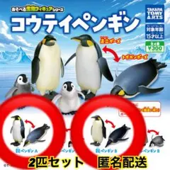 Berohan様 リクエスト 2点 まとめ商品