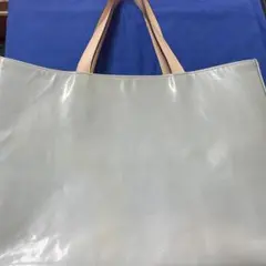 Item thumbnail for item c833b2d9-c258-4bde-8c02-37a70e543ade