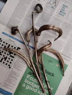 1000円引き☆乾燥オクラ② ドライフラワー材料　3本セット