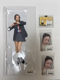 TWICE ジヒョちゃん ミニのぼり・キーホルダー THIS IS FOR
