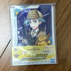 一番くじ ポケモンマスターズEX E賞 メモリアルフォト ミニアートボードダイゴ
