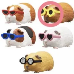 サングラスをかけたモルモット　ガチャガチャ