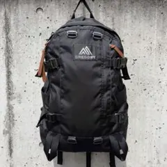 極美品 GREGORY ALL DAY V2.1 オールデイ 22L 黒のサムネイル