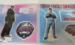 東京ヤクルトスワローズ 長岡秀樹 アクリルスタンド 2種セット - メルカリ