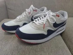 超レア・美品】NIKE AIR MAX 1 G ナイキ ゴルフ 26cm - メルカリ