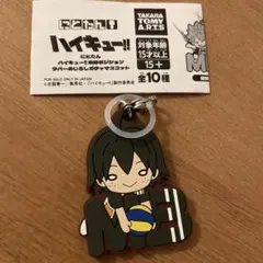 ハイキュー!! にとたん ラバーめじるしガチャマスコット　山口忠