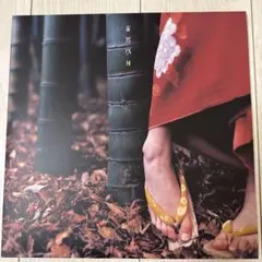 スピッツ, 新品LP, 花鳥風月, 2枚組, 180g重量盤, レコード 2026年最新】スピッツ 花鳥風月+ レコードの人気アイテム - メルカリ