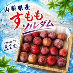 山梨県産　すもも　ソルダム　産地直送のサムネイル