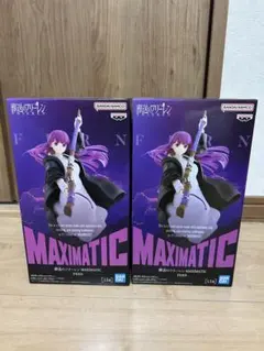 MAXIMATIC フェルン 2個セット