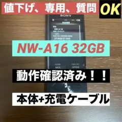 SONY ウォークマン NW-A16 本体+ケーブル