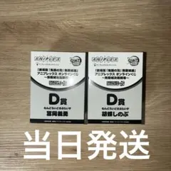 冨岡義勇. 胡蝶しのぶ D賞セット 鬼滅の刃 アニプレックス オンラインくじ～