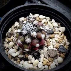 degg様 リクエスト 3点 まとめ商品