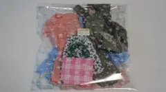 Item thumbnail for item 07efda2d-d7f3-4422-a729-157780c809d0