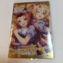 sougojira様 リクエスト 2点 まとめ商品