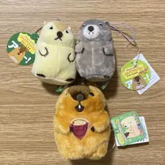 マーモット ぶるぶるぬいぐるみ ぷちぐるみ もっともっとモア まとめ売り
