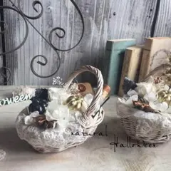 木の実 ハロウィン