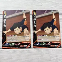 ハイキュー バボカ 縁下力 烏野