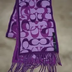 Item thumbnail for item 2906991c-0c10-4e3c-8656-3e0544e1379d