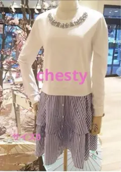 新品未使用　chestyチェスティビジュー付ワンピースサイズ0