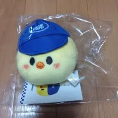 Straykids KARMA ボールキャップキーリング ポガリ