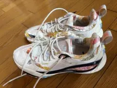 LI-NING WADE DLO 2 CANVASES US10.5/28cm - メルカリ