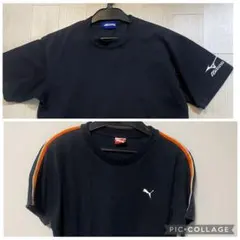 Tシャツ 2枚セット