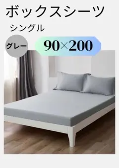 Item thumbnail for item e4effff2-461e-4695-a97a-c4cf9f1fcd88