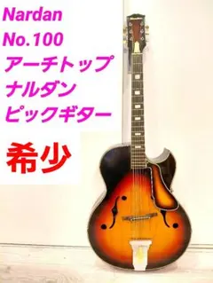 nardan ナルダンno100 ピックギター セミアコ ジャパンビンテージ