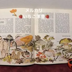 美品】ウィリアムモリス 自伝的作品集著述とデザイン テキスタイル 