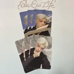 【MAKI】 &TEAM 'Back to Life' トレカ