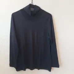 Item thumbnail for item 3b753279-e968-4273-b7cc-229fa5f130cf