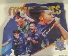 サンフレッチェ広島　非売品オリジナルタオル