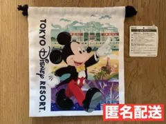 新品タグ付き　ディズニー　巾着　ショッピングバッグ柄　ディズニーリゾート