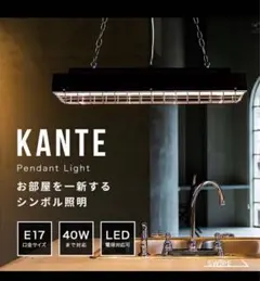 インダストリアル シーリングライト