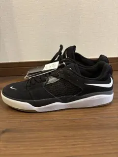 Nike SB ISHOD