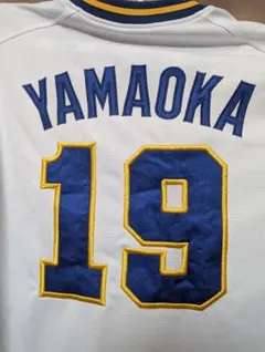 オリックスバファローズ 応援グッズ